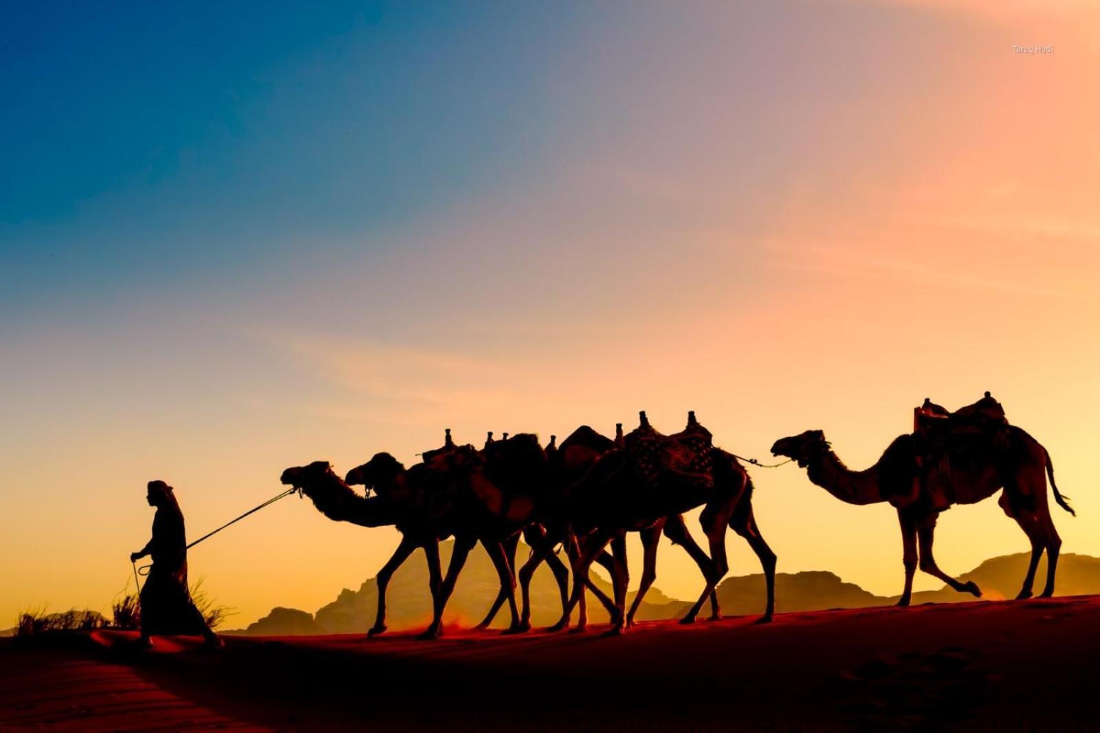 Scarlet Luxury Camp Wadi Rum Ngoại thất bức ảnh